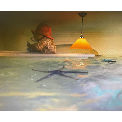 Paddington Bear 1 & 2